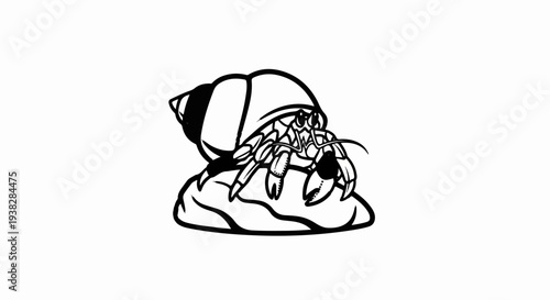 Stylized black and white illustration of a hermit crab peeking out from its shell