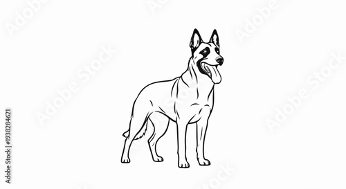A black and white line drawing of a German Shepherd standing alert