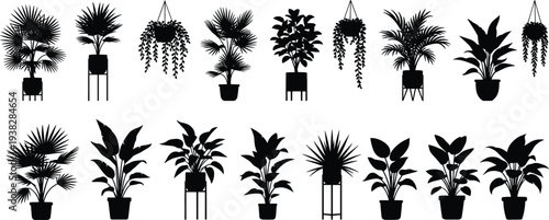 Indoor Potted Houseplants Silhouette Set, Tropical Home Plants Collection Illustration