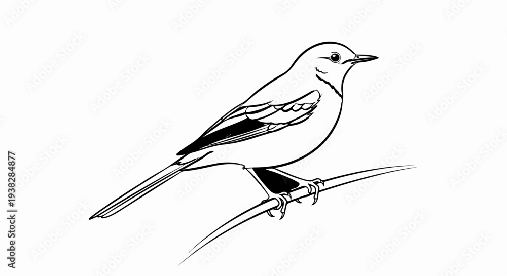Obraz premium A black and white line drawing of a small bird perched on a thin branch