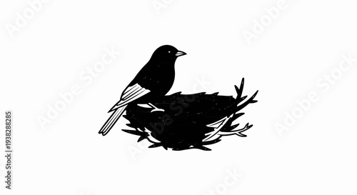 Black bird perched on a twig nest against a white background