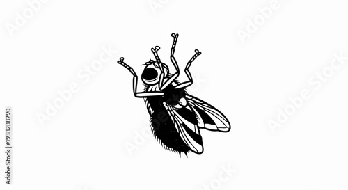 Black and white sketch of a fuzzy fly with wings outstretched upside down