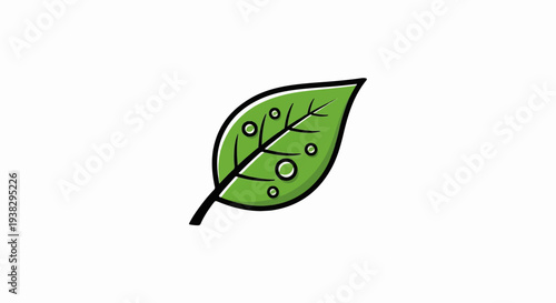 Simple green leaf with dew drops