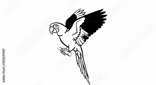 Stylized black and white drawing of a parrot perched on a branch with wings spread
