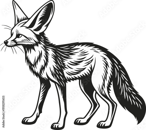 A stylized, monochrome illustration of a Fennec fox stands centered against a pure white background. The fox is depicted in a full-body pose, with a slender build and long, thin legs. Its most promine