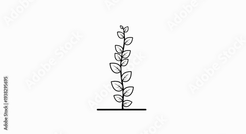 Stylized line drawing of a tall plant stem with leaves