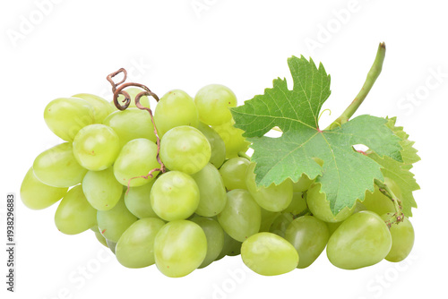 Green grapes isolated on white