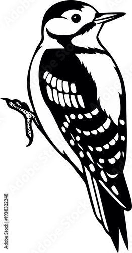 A stylized illustration of a woodpecker, centered in the frame against a stark white background. The bird is depicted in a side profile, oriented to the right, showcasing its detailed plumage and feat