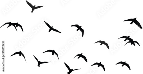 A flock of birds in flight formation