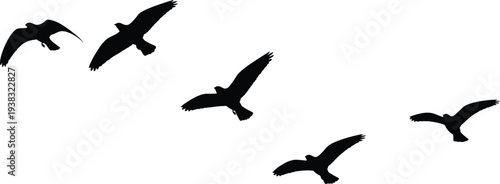 Flock of birds in flight formation
