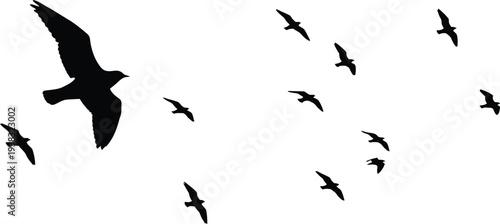 A flock of birds flying in formation against a white sky