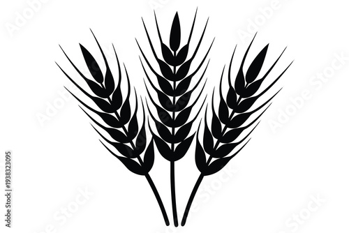 Wheat, Grain Spikes Icon