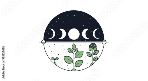 Moon phases and plant growth illustration