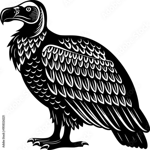 Photography A stylized illustration of a vulture is depicted on a plain white background