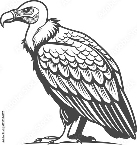 Photography A stylized illustration of a vulture is depicted on a plain white background