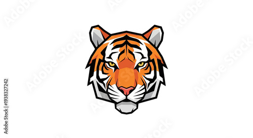 Illustration of a tiger face.