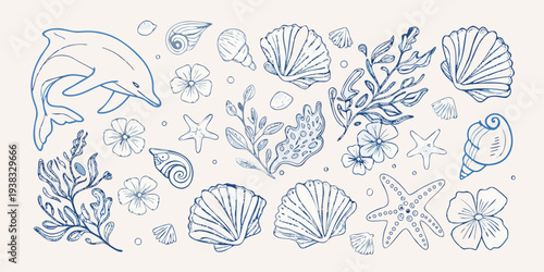 Hand drawn illustration featuring marine life and floral elements
