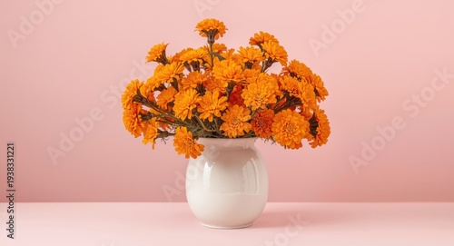 Seasonal marigold blooms in white vase with pink background ideal for autumn bouquet and copy space