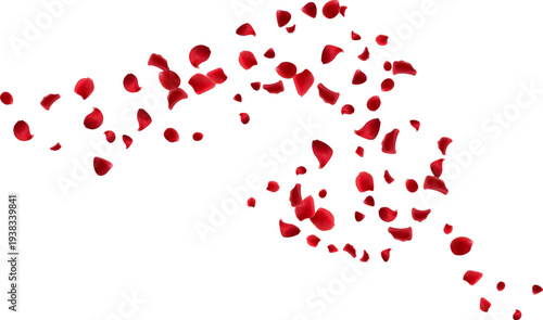 Romantic Valentine's Day background with flying red rose petals design isolated element