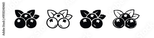 Hand drawn doodle set of blueberries with leaves. Outline and silhouette berry fruit icons with star detail. Healthy food vector illustration.