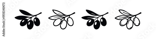 Hand drawn doodle set of olive branches. Outline and silhouette fruit and leaves icons. Mediterranean food ingredient vector illustration.