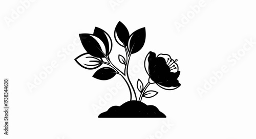 A black and white illustration of a plant with a single bloom and multiple leaves emerging from soil