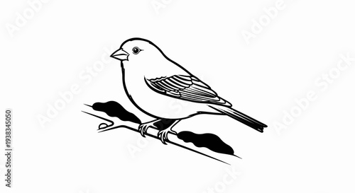 A black and white illustration of a bird perched on a branch
