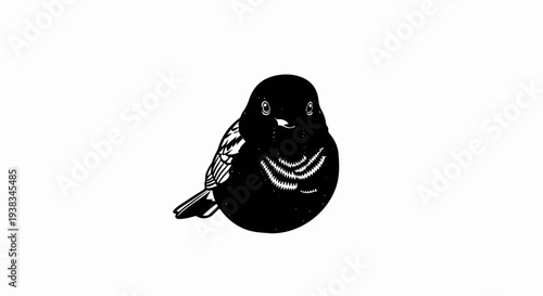 Black and white illustration of a small, plump bird facing forward with white eyes