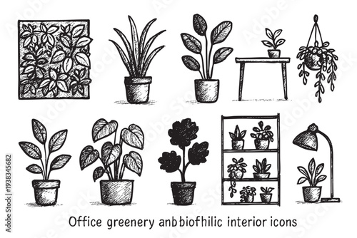 Illustration of various house plants on tables, shelves, and hanging, in a black and white vintage sketch style, perfect for adding a natural element to design.