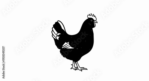 Silhouette of a black chicken with white accents on its tail and comb