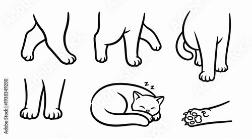 Cute cartoon cat paws in various poses, including a sleeping cat