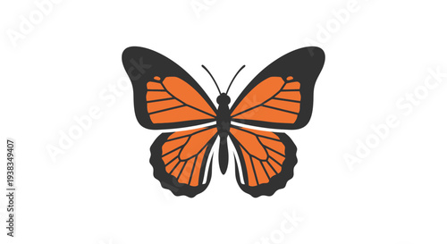 Orange Butterfly with Black Wings.