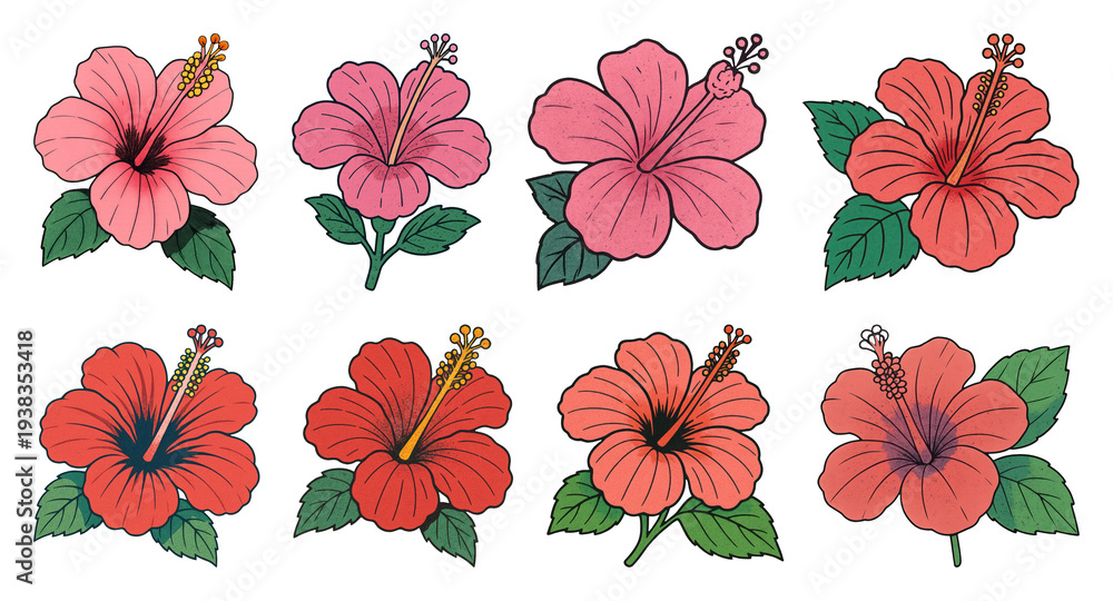 Obraz premium PNG Vibrant hibiscus flower illustrations on transparent background