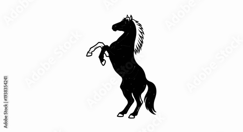 A black horse with a white mane rears up on its hind legs