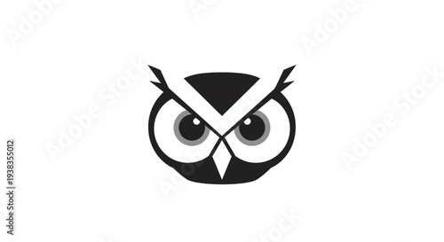 Owl Face Closeup Bird Portrait.