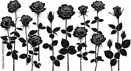 Elegant black rose silhouette vector collection featuring various long stem blooming flowers and delicate floral buds isolated on a clean white background