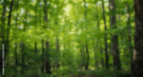 Blurred forest background with vibrant green natural texture and soft focus
