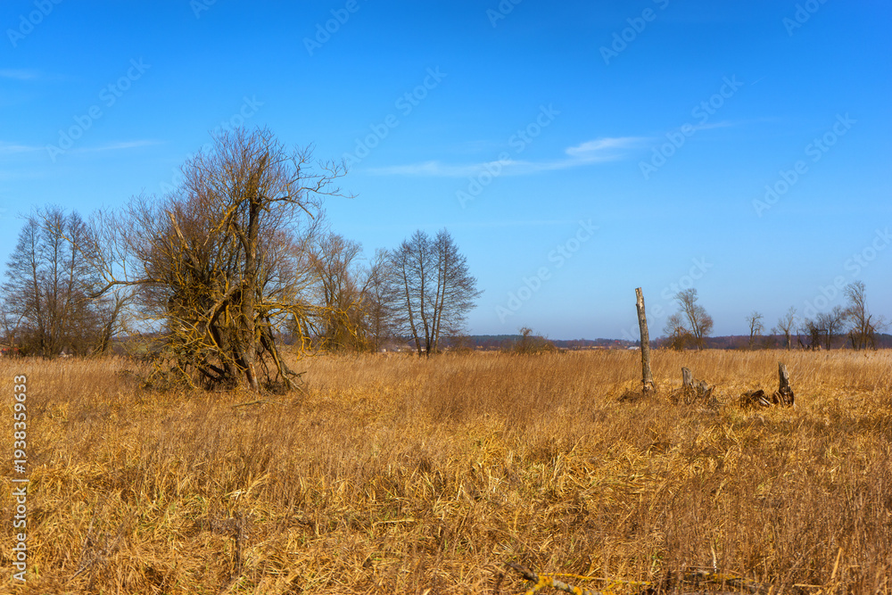 Fototapeta premium Podlaskie Safari - Naewiański Park Narodowy, Polska