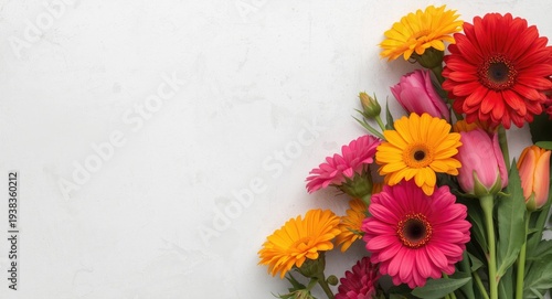 brightly hued flowers displayed on a white textured background with copy space
