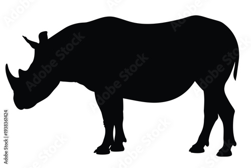 Rhino, African Wildlife Silhouette