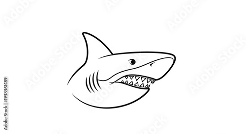 Shark Head with Open Mouth Illustration.