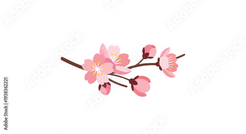 A beautiful branch of delicate pink cherry blossoms featuring blooming flowers and unopened buds, symbolizing spring, renewal, and natural beauty.