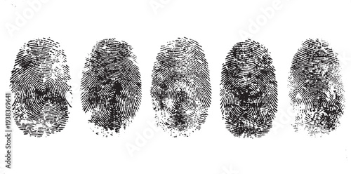 Fingerprint thumbprint set isolated. Set fingerprint scanning icon sign Fingerprint Scanning Icon Set: Vector Biometric Signature Symbols for Password Encryption and Digital Security 