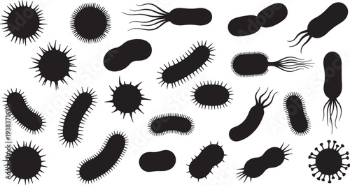 Collection of black bacterial shapes with various forms and flagella also transparent background microbiology
