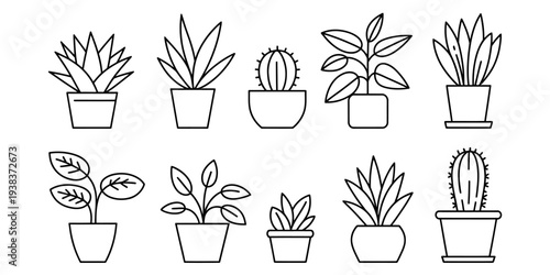 A compelling, SEO-friendly title.

25–30 targeted keywords to help with discoverability (perfect for stock sites or portfolios).