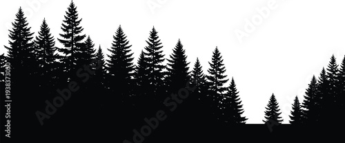 Pine tree forest silhouette border, evergreen woodland landscape scene, conifer trees horizon isolated on white background nature banner