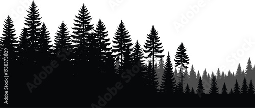 Pine forest silhouette landscape, evergreen trees woodland nature scene, conifer forest horizon isolated background natural wilderness illustration