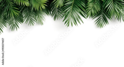 Dense jungle foliage on min...