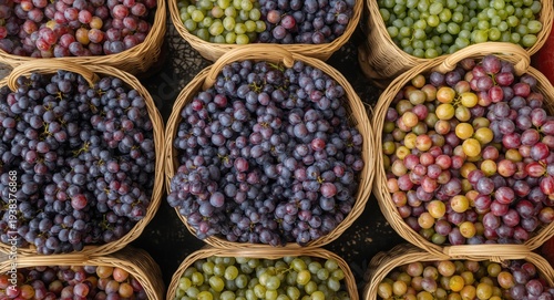 Colorful assortment of ripe...
