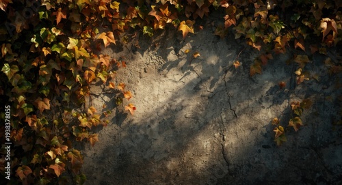 Textured wall surface decor...